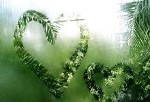 天涯论坛娱乐八卦景甜新鲜事。